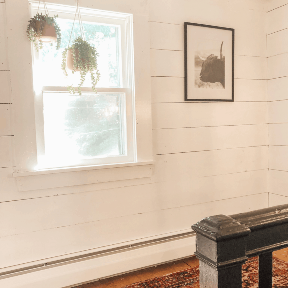 A white shiplap wall with a picture of a buffalo and a small window.