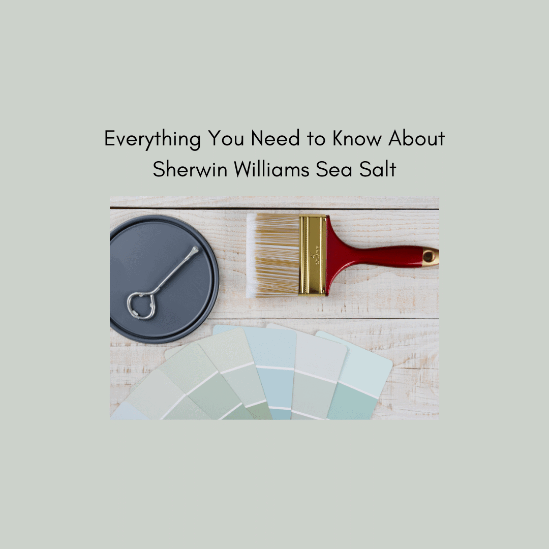 Everything You Need to Know About Sherwin Williams Sea Salt